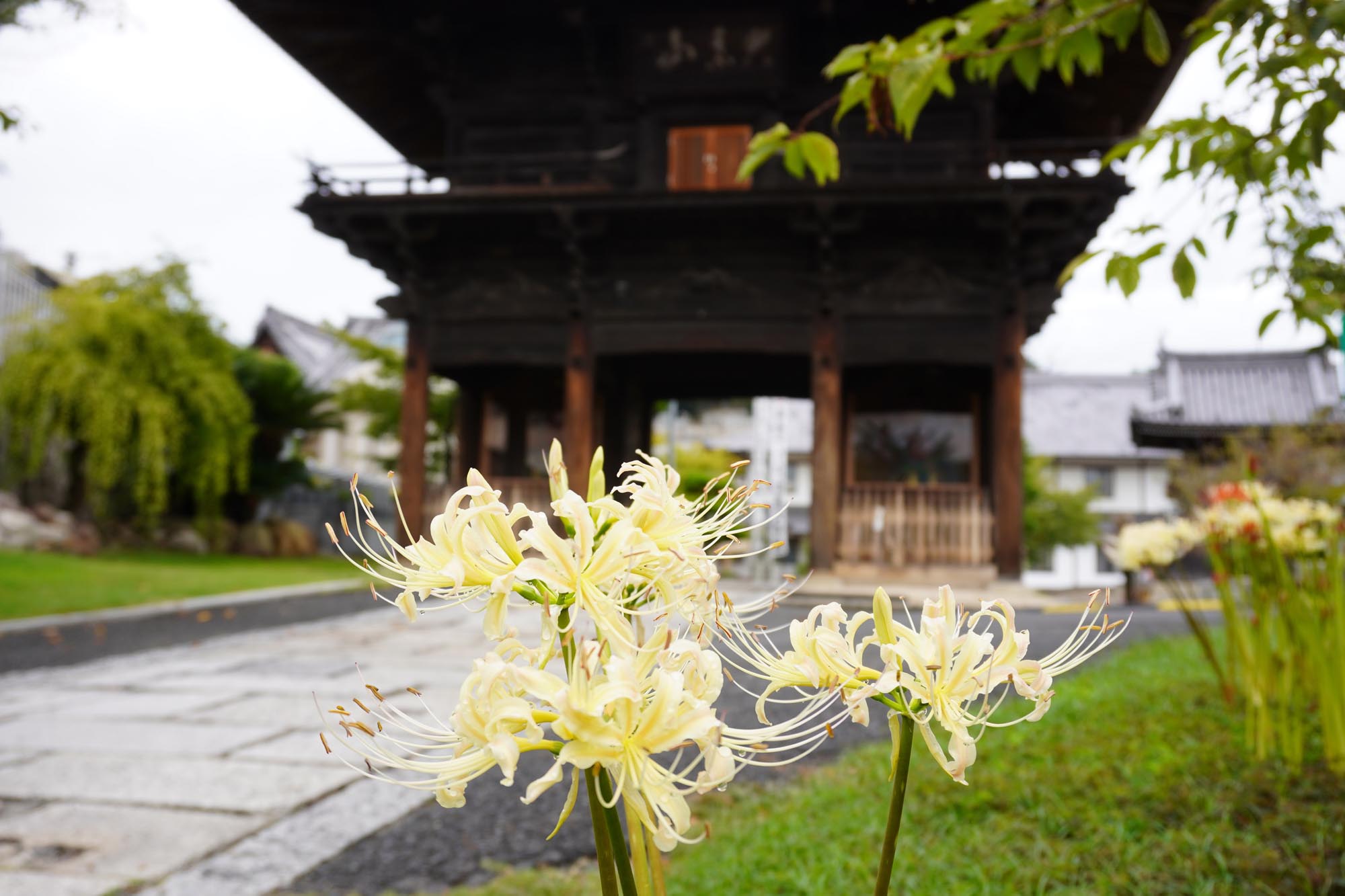 境内墓地のご案内