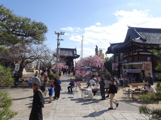 河津桜まつり